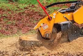 Lawn Edging in Coplay, PA